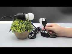 Λαμπτήρα αλατιού ΕΕ