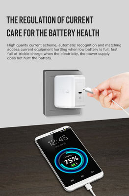Υψηλής ισχύος Qc 3.0 Usb Wall Charger 100w Gan Travel Charger Προστασία από υπερτάσεις