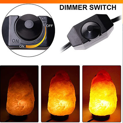 Καλώδιο λάμπας αλατιού US 2-Pin με διακόπτη dimmer 1.2m Μαύρο